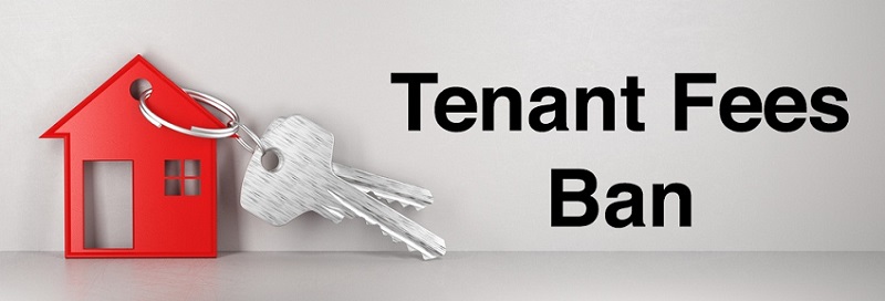 What landlords need to know about the tenant fee ban/bill Thumbnail